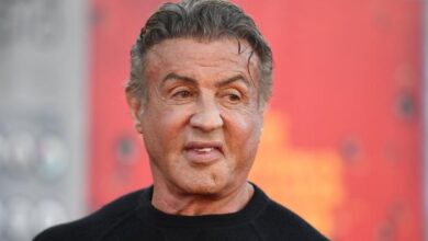 sylvester stallone vermögen