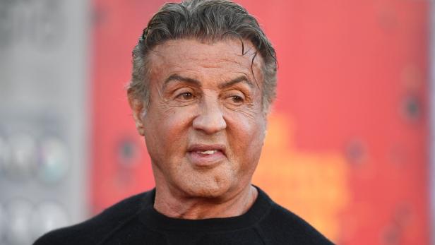 sylvester stallone vermögen